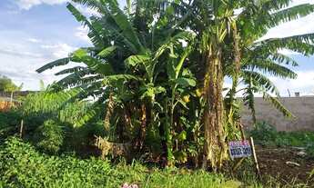 Imagem 3: TERRENO JARDIM LOS ANGELES