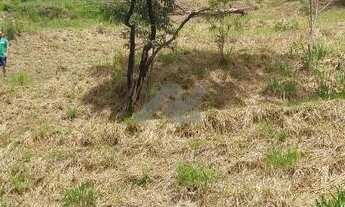 Imagem 3: Terreno - Joaquim Egídio - Campinas