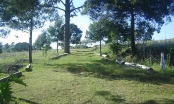 Imagem 5: Vendo lindo sítio- area com 3.820m2