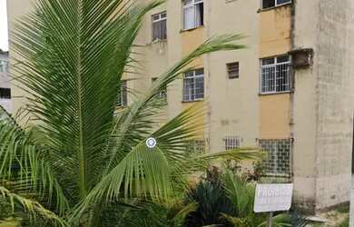 Imagem: Estrela do Mar !