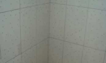 Imagem 6: Casa para aluguel possui 55 metros quadrados com 2 quartos