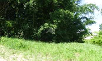 Imagem 5: Terreno - Joaquim Egídio - Campinas