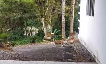 Imagem 2: Aluguel Casa com 1 dormitório