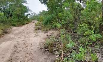 Imagem 4: FAZENDA À VENDA EM BALSAS - MA - 470 HECTARES - (DUPLA APTIDÃO