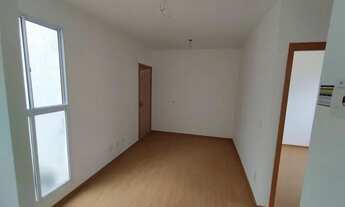 Imagem: Apartamento - palmeira monarca