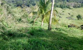 Imagem 3: Sítio Chácara com venda por R$125.000