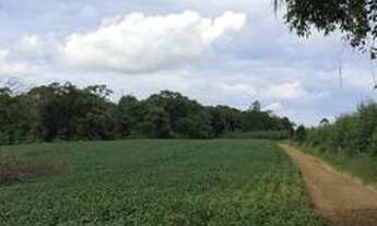 Imagem: Oportunidade raríssima no parana