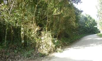 Imagem: Area Para Formar Chacara, Sitio,em Piraquara