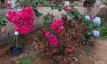 Imagem 2: Chácara em Bom Jesus do Bagre
