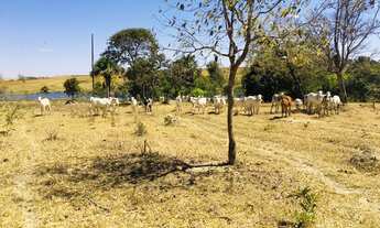 Imagem 2: Fazenda em caldas novas 63 Alqueires planta 45