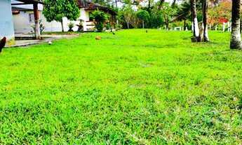 Imagem 3: Itajuípe - Fazenda - FAZENDA AMARALINA