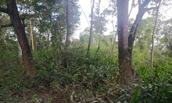 Imagem 7: 678 Alqs Dupla Aptidão Rio Barro Vermelho Região Santa Tereza do TO