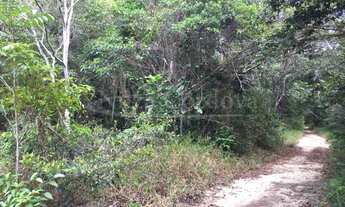 Imagem 5: Lote/Terreno para venda possui 50000 metros quadrados em Arraial D'Ajuda - Porto Segu