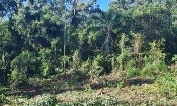 Imagem 3: Ótima área 5.2ha, boa para investimento