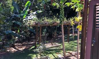 Imagem 5: Chácara para venda tem 400 metros quadrados