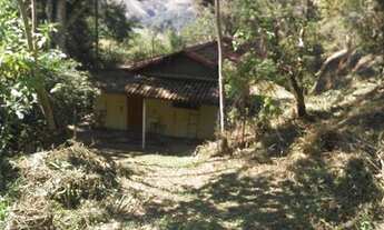 Imagem 2: Chácara com mina em São Francisco Xavier SP