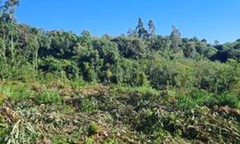 Imagem 7: Ótima área 5.2ha, boa para investimento