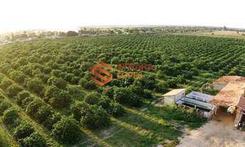 Imagem 4: VENDO FAZENDA COM 130 TAREFAS - CRISÓPOLIS - BAHIA