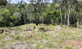 Imagem 4: área de 2.00ha, toda limpa e cercada, com vertente