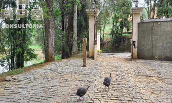 Imagem 2: Sítio ou Haras formado próximo da Represa de Piracaia região de Atibaia