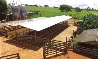 Imagem 3: Fazenda 50ha, pasto, leite, à 7km do asfalto em Luz/MG