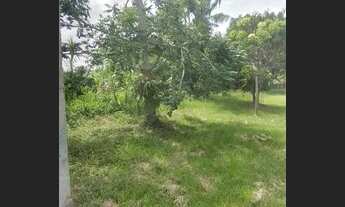 Imagem 5: Sítio com piscina