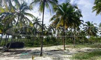 Imagem 4: Terreno para venda com 550000 metros quadrados - Una - BA