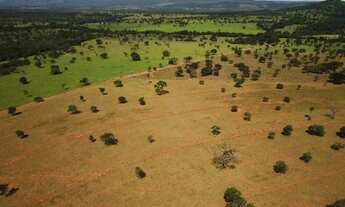 Imagem 7: Fazenda formosa - go - 89 alqueires - excelente - venha conhecer