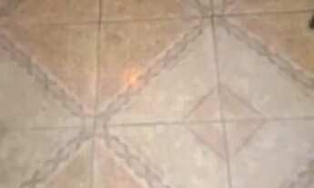 Imagem 3: Venda de casa Casa com 4 dormitórios