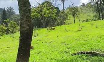 Imagem 4: Lote/Terreno Topografia em Atibaia