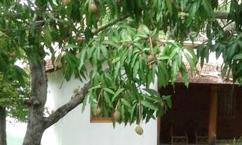 Imagem 2: Sitio top em Mutum MG