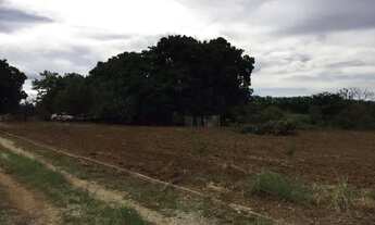 Imagem 3: Vendo excelente chácara no Incra 09 !!