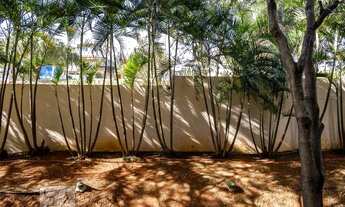 Imagem 7: Apartamento para Aluguel - Vila Ema, 3 Quartos, 64 m2