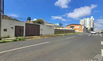 Imagem 2: Residência com amplo Terreno - Uvaranas