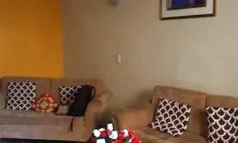 Imagem 4: Praxis Imobiliária venda casa Meier