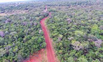 Imagem 2: Fazenda em Divinopolis-TO. Bruta