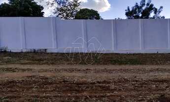 Imagem 2: Venda de Rural / Chácara na cidade de Araraquara