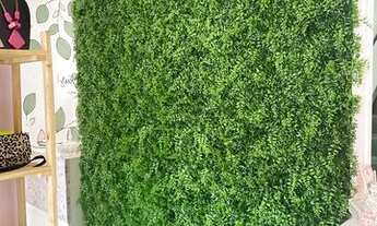 Imagem 3: Passo loja em Laranjeiras