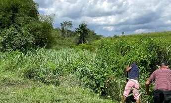 Imagem 2: Amélia Rodrigues - Fazenda com 2 nascente de água, boa para pasto 675.000 m² na Br 324