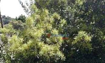 Imagem 7: Casa para alugar, 450 m² por R$ 20.435,00 - Paisagem Renoir - Cotia/SP