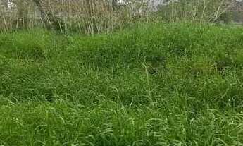 Imagem: Vendo terreno contrato de compra e venda