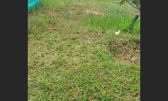 Imagem: Terreno à venda, 503 m² por R$ 480.000,00