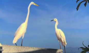 Imagem 4: Aluguel Ótima Casa na Praia da Barra de Guaratiba