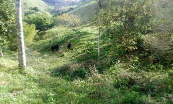 Imagem 6: Sítio Chácara com venda por R$125.000