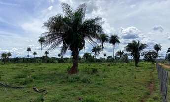 Imagem: Fazenda de 200 Alqueires Município de Araguatins