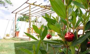 Imagem 4: Chacara No Condominio Terra Da Mata - Mairinque