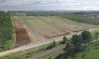 Imagem 3: IçARA - Terreno Padrão - Liri