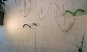 Imagem 5: LOJA PARA ALUGAR NO SHOPPING 45 - TIJUCA - PRAÇA SAENS PEÑA