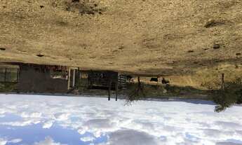 Imagem: Fazenda em caldas novas 7 Alqueires