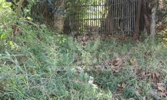 Imagem 4: Terreno para comprar no bairro Belém Novo - Porto Alegre